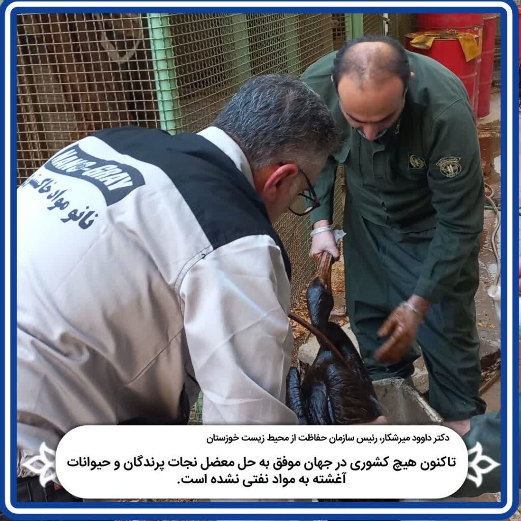 پلیکان نفتی خوزستان - نانو مواد خاکستری