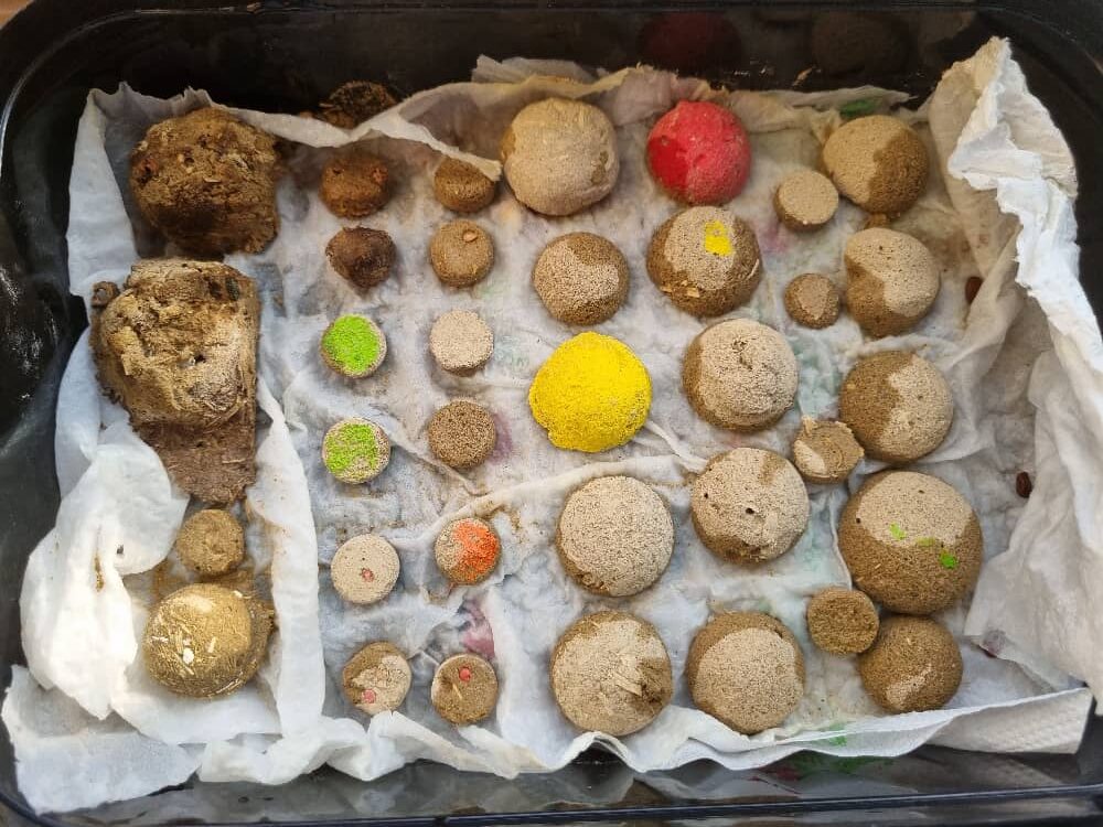 بذر تکاور، نجات بخش طبیعت