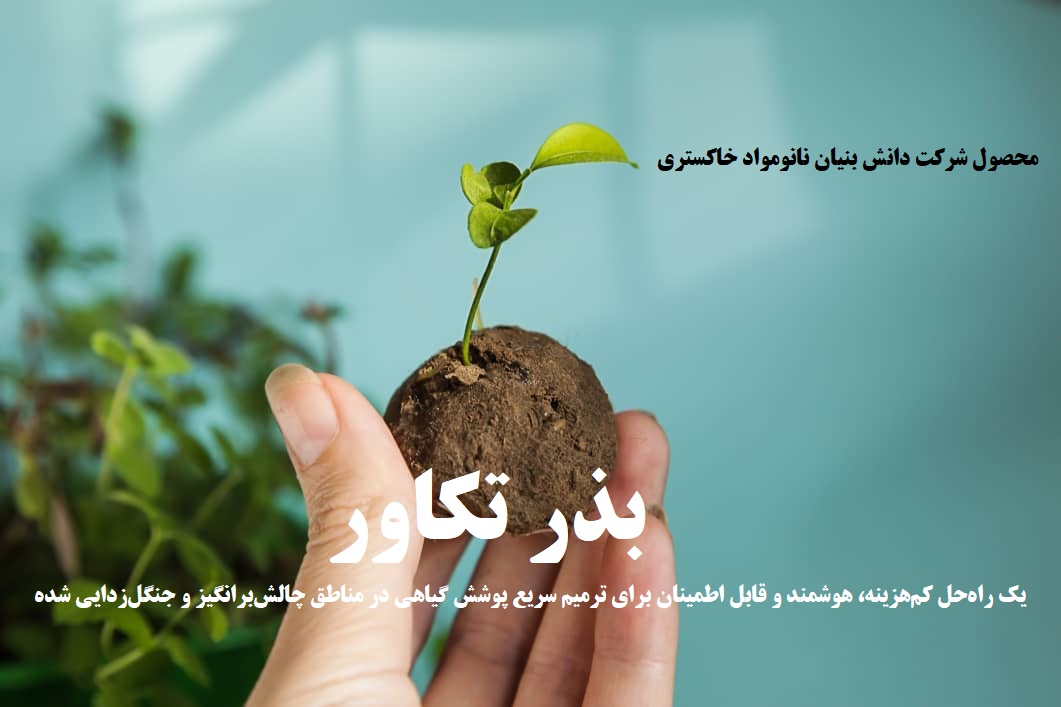 بذر تکاور چیست؟