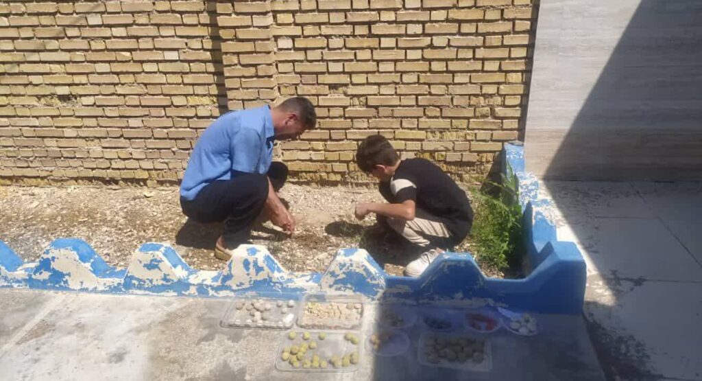 مرد و کودک در حال کاشت بذر تکاور در خرمشهر