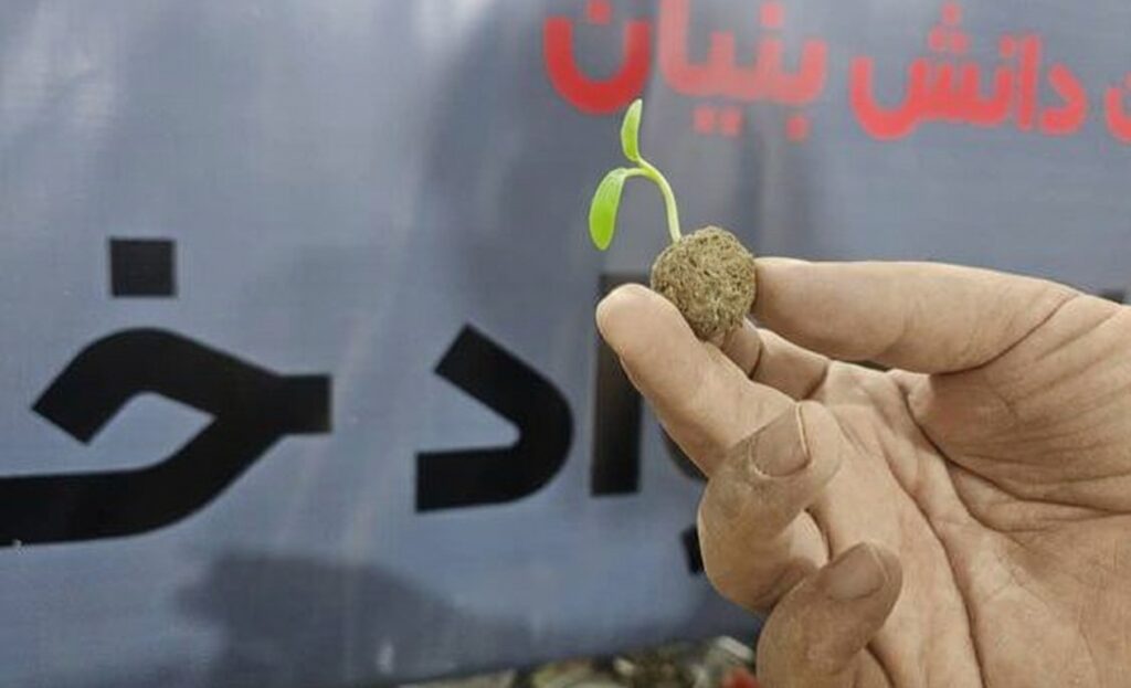 بذر تکاور رشد کرده نانو مواد خاکستری