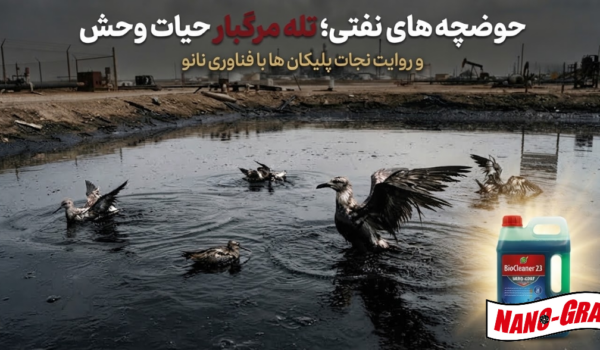 پرندگان مهاجر که پس از سفری طولانی به دنبال آب و استراحت هستند، سطح براق این حوضچه‌ها را با یک منبع آب شیرین اشتباه می‌گیرند و لحظه‌ای بعد، در چنگال نفت سیاه گرفتار می‌شوند. نفت به پر و بالشان می‌چسبد، پرواز را از آنها می‌گیرد و به آرامی به کام مرگ می‌کشاند. اما در میان همین اخبار تلخ، روایت‌هایی از امید نیز شکل گرفته است؛ جایی که فناوری بومی و دانش ایرانی به کمک پرندگان آسیب‌دیده می‌آید و آنها را به آسمان بازمی‌گرداند.
